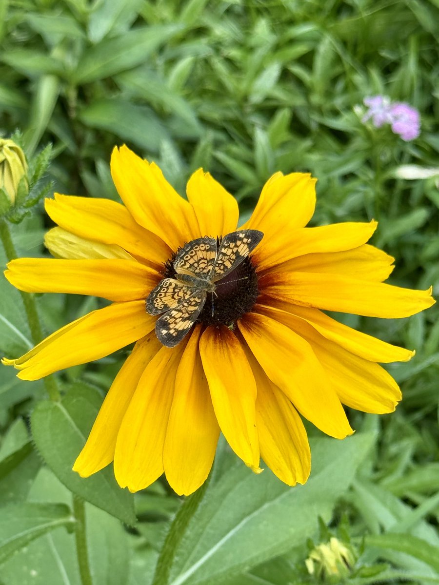 Collabor8tor's tweet image. 