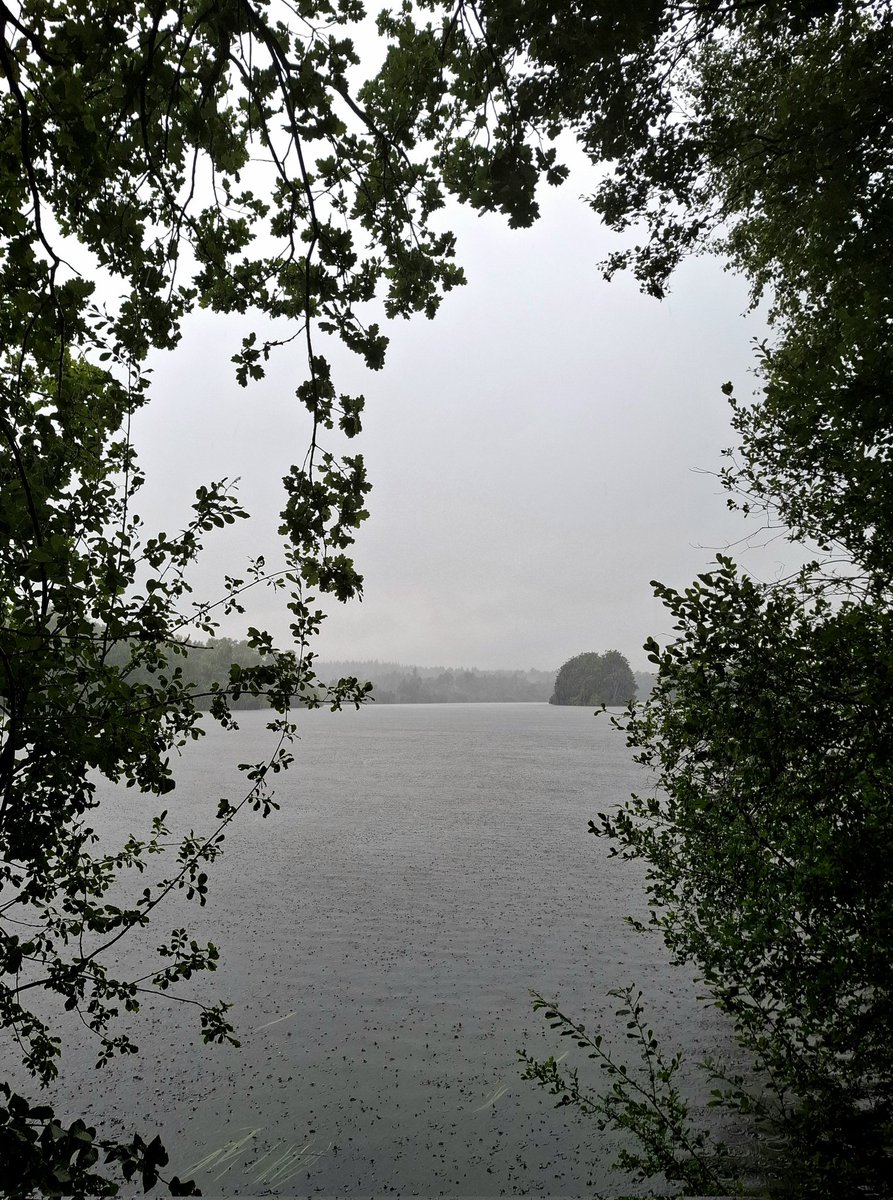 chriz31_07's tweet image. When the sky stays gray.

The inside often stops searching and simply begins to be..

#DailyThoughts 

#NaturePhotography
#rainy