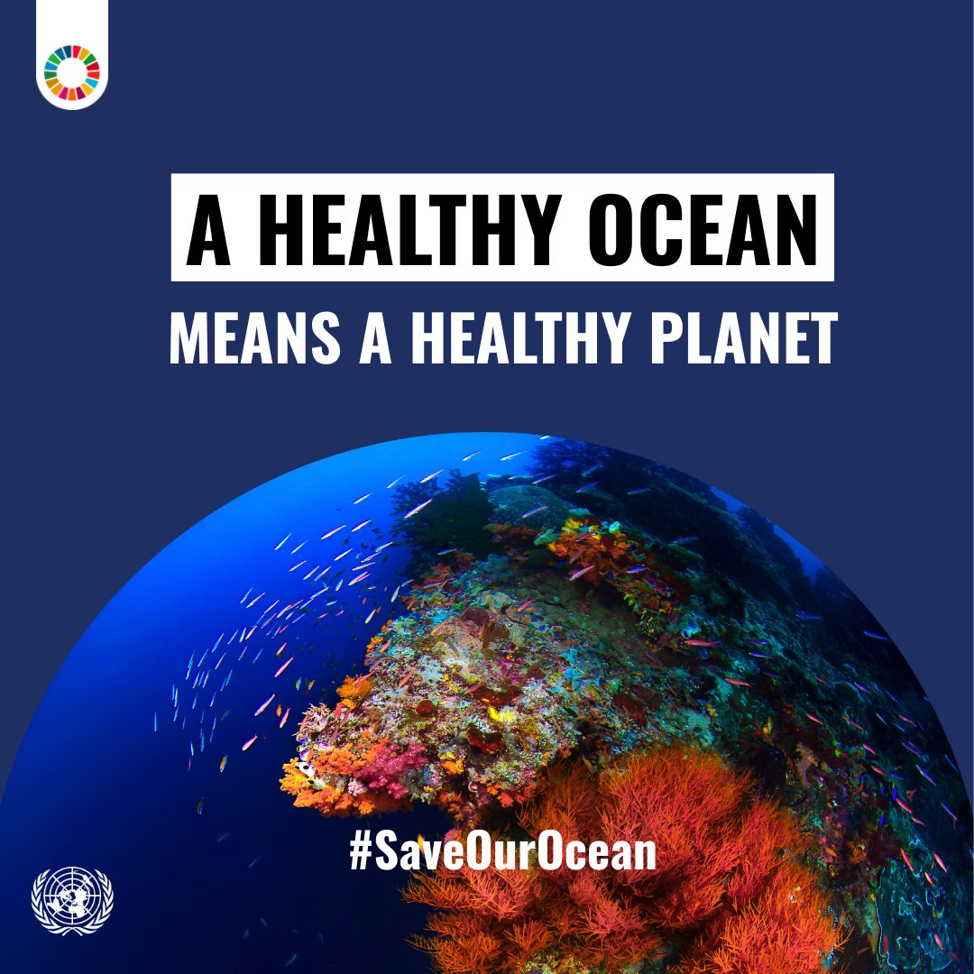 Interested in ocean affairs and law of the sea?

The United Nations – Nippon Foundation Sustainable Ocean Fellowship Programme is now accepting applications: un.org/oceancapacity/…