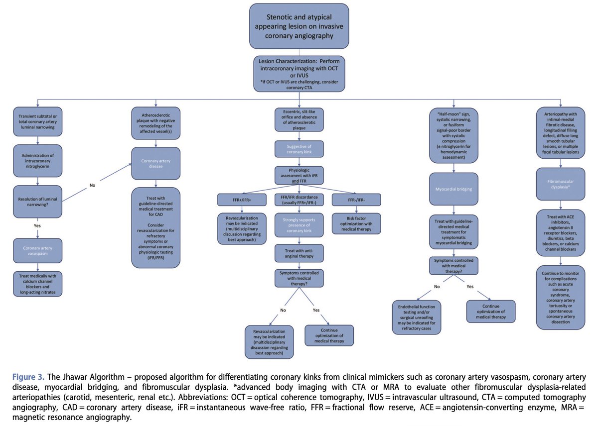 The Jhawar algorithm is a novel diagnostic schema that uses advanced intracoronary imaging to cinch the diagnosis of coronary kink - an underrecognized cause of coronary stenosis distinct from CAD, vasospasm, myocardial bridging, FMD, and other mimickers tandfonline.com/doi/abs/10.108…