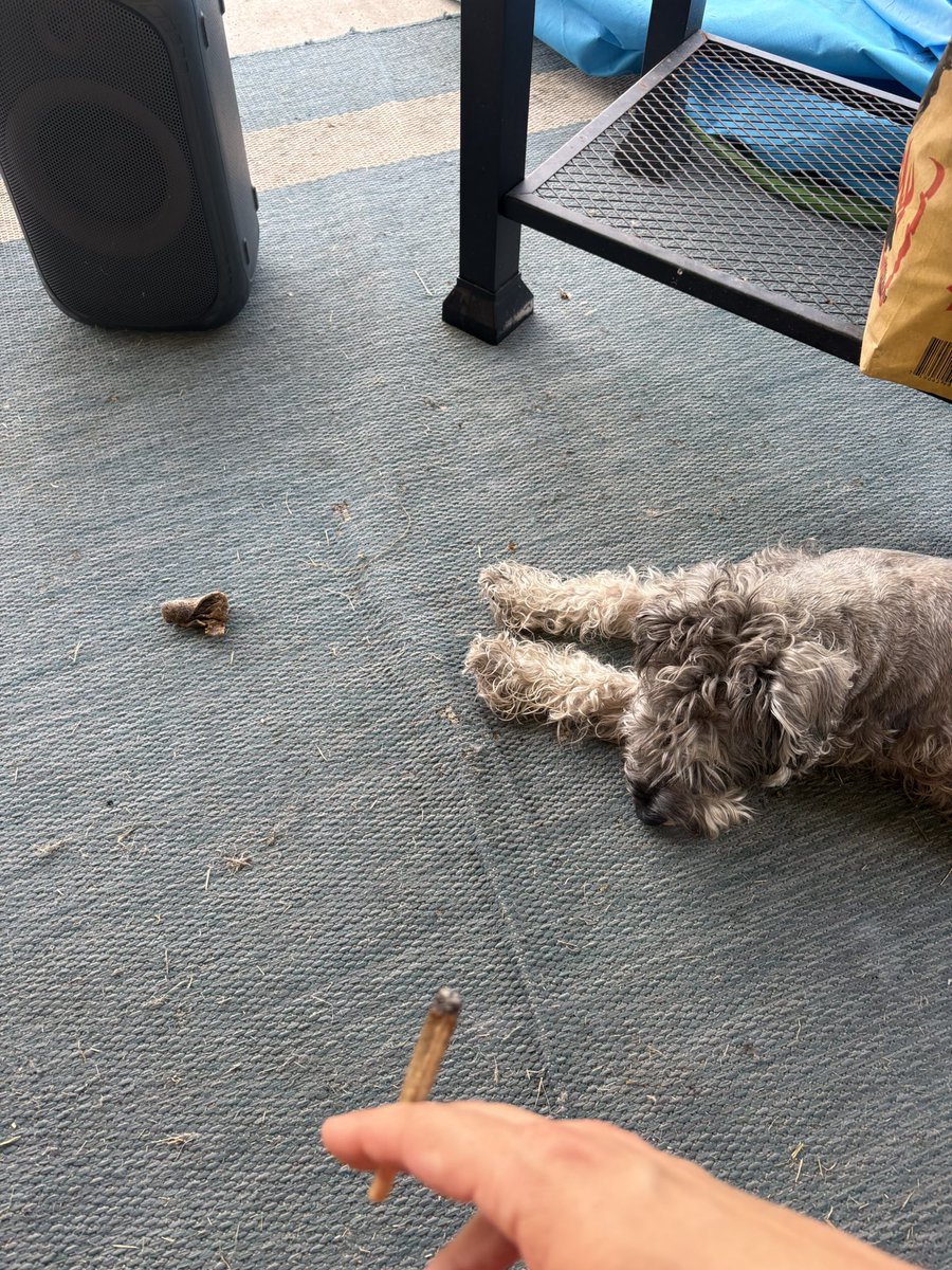 great weed basically smokes itself