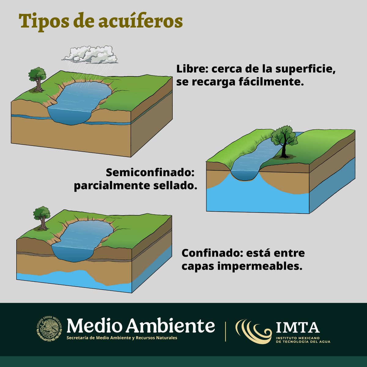 IMTA tweet media
