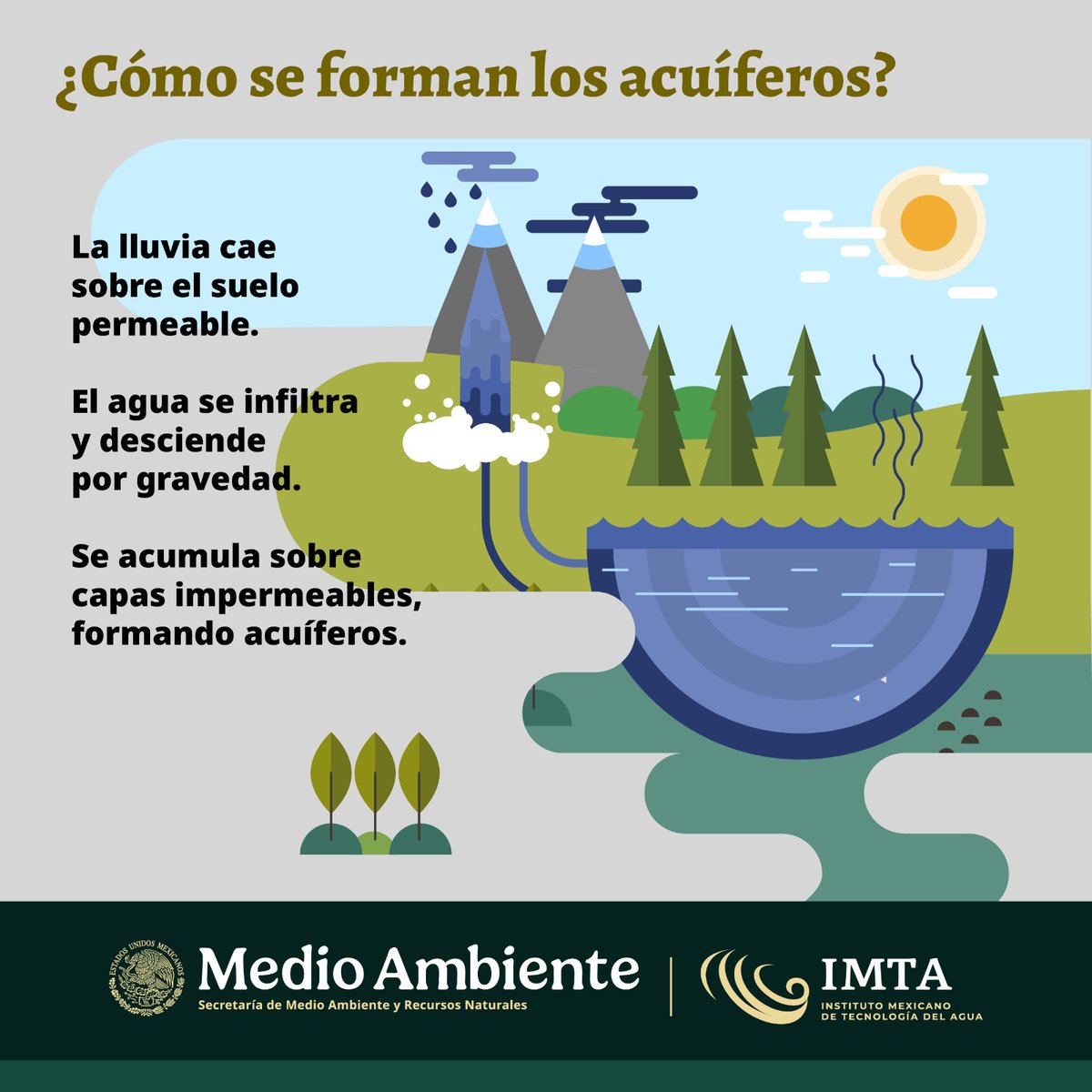 IMTA tweet media