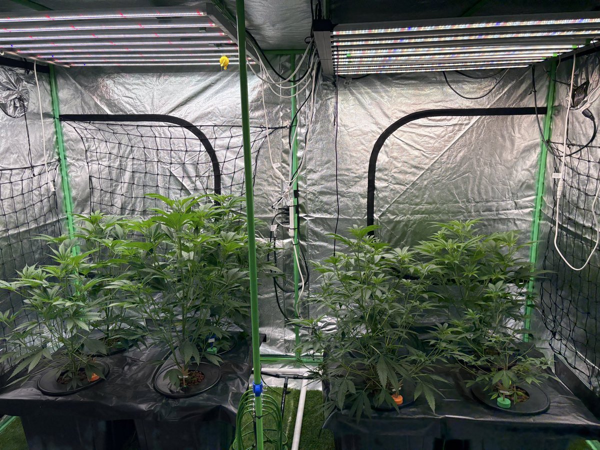 Cuts n Flip’n time 😎👍