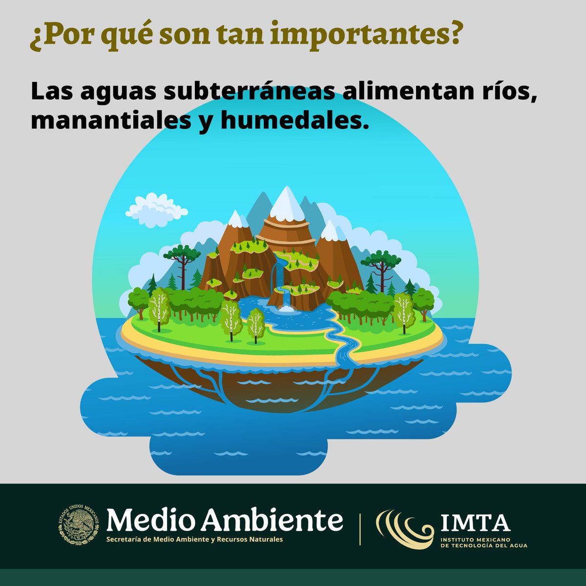 IMTA tweet media