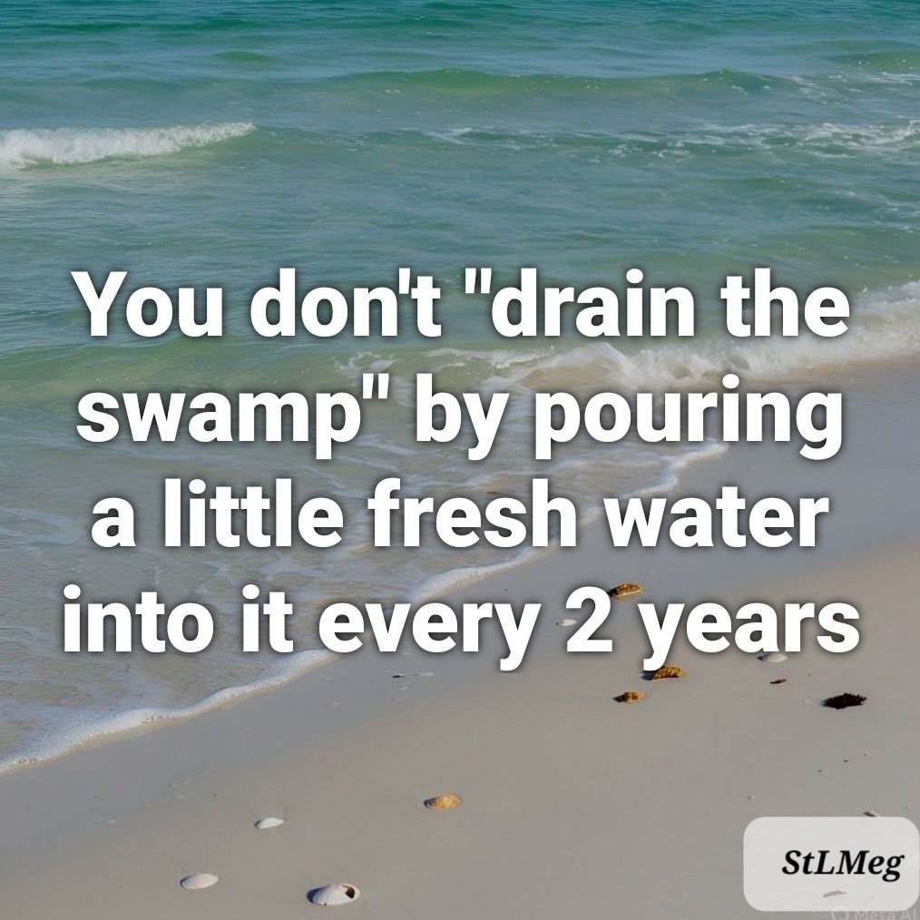 StLouisMeg's tweet image. 