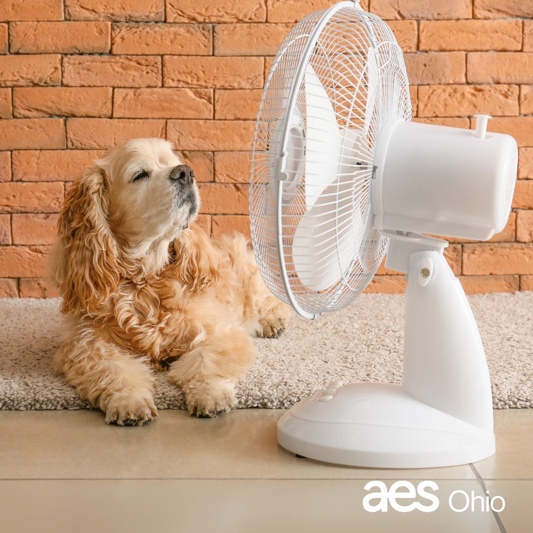 Summer heat can send your energy bill soaring, but a few smart moves can help you stay comfortable and in control. Let’s beat the heat, together.
 
☀️ Use ceiling fans to raise your thermostat a few degrees without losing comfort.
🌙 Run heat-producing appliances like dryers and
