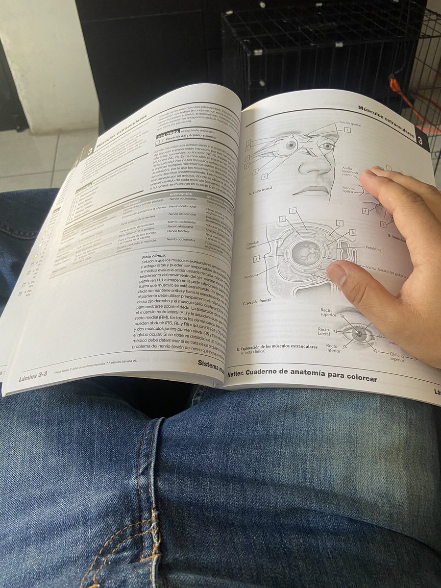 Hay muchas formas de explorar.

Demian.