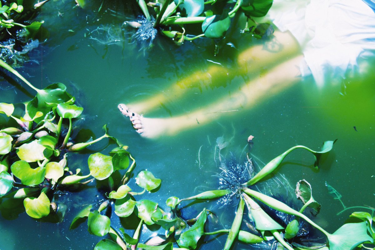 baxkwoodz angelz🇵🇸 tweet media