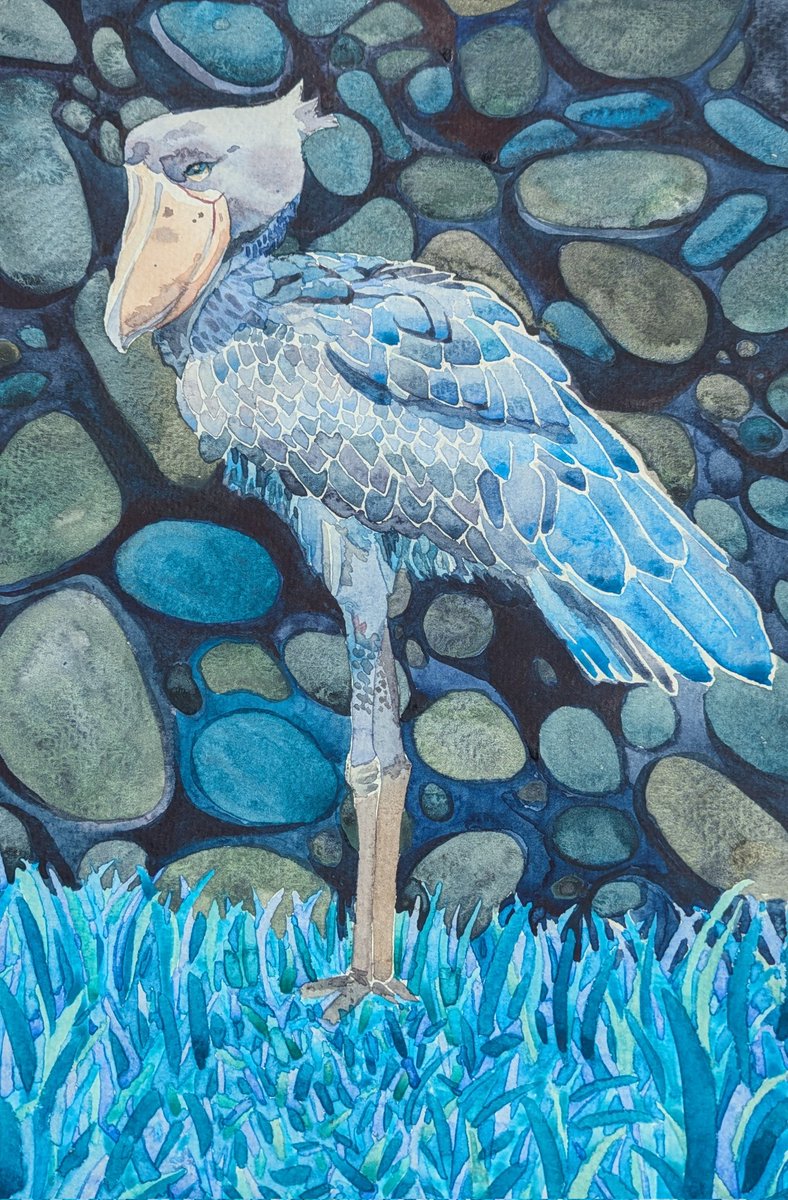 Китоглавчик