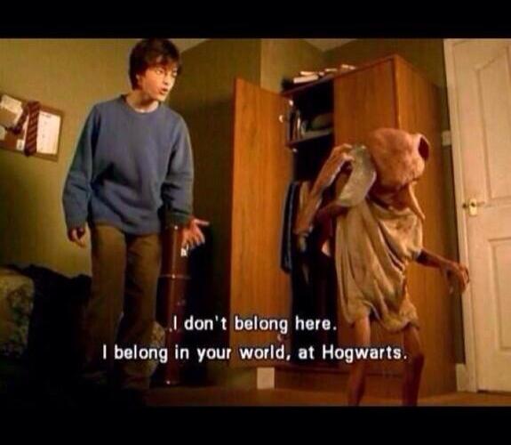 PotterWorldUK's tweet photo. Me basically https://t.co/LaYeP2U0wJ