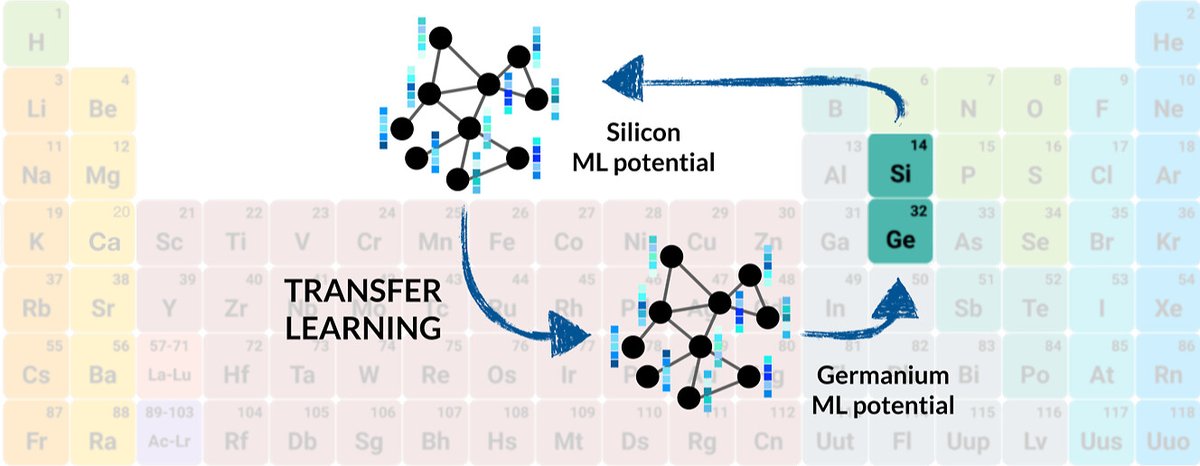 Enhancing machine learning potentials via transfer learning

Transfer learning enables models to capitalize on previously acquired insights, thereby significantly reducing data requirements, training times, and computational costs. Sebastien Röcken and Julija Zavadlav introduce a