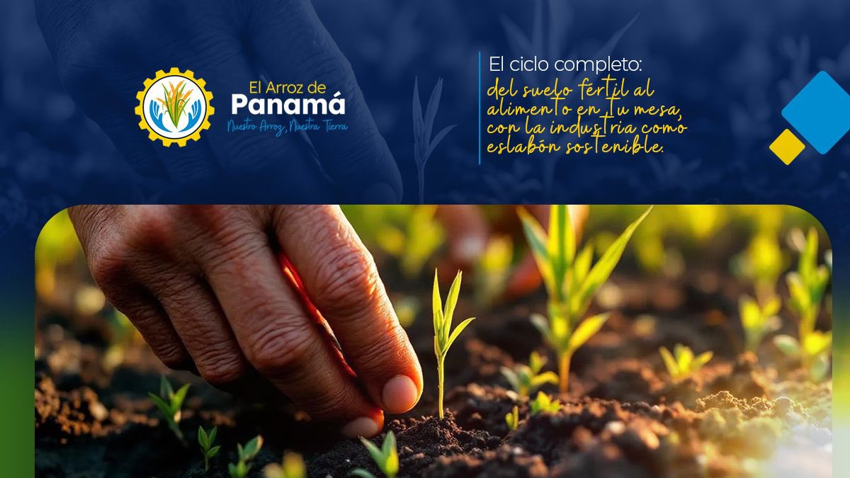 Hoy es el Día de la Conservación del Suelo. 🌱 Para nosotros, el suelo es la base de todo: cultivos, cadena alimentaria y la calidad del grano que llega a tu mesa. 🌾 Renovemos nuestro compromiso con prácticas sostenibles. Cuidar el suelo es cuidar la vida. 💚🌍