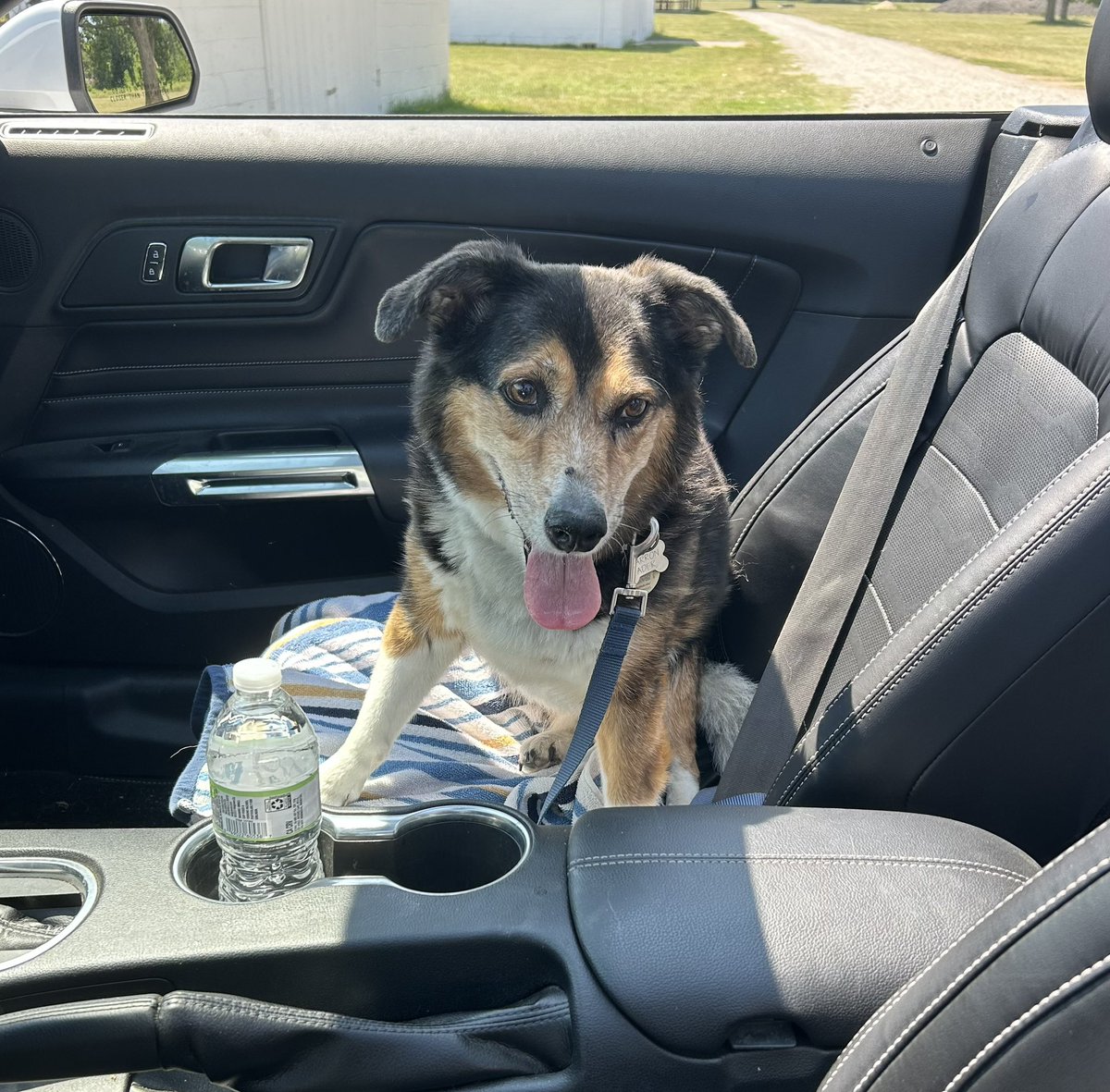 Barron is patiently waiting for his french fries at McDonald’s!