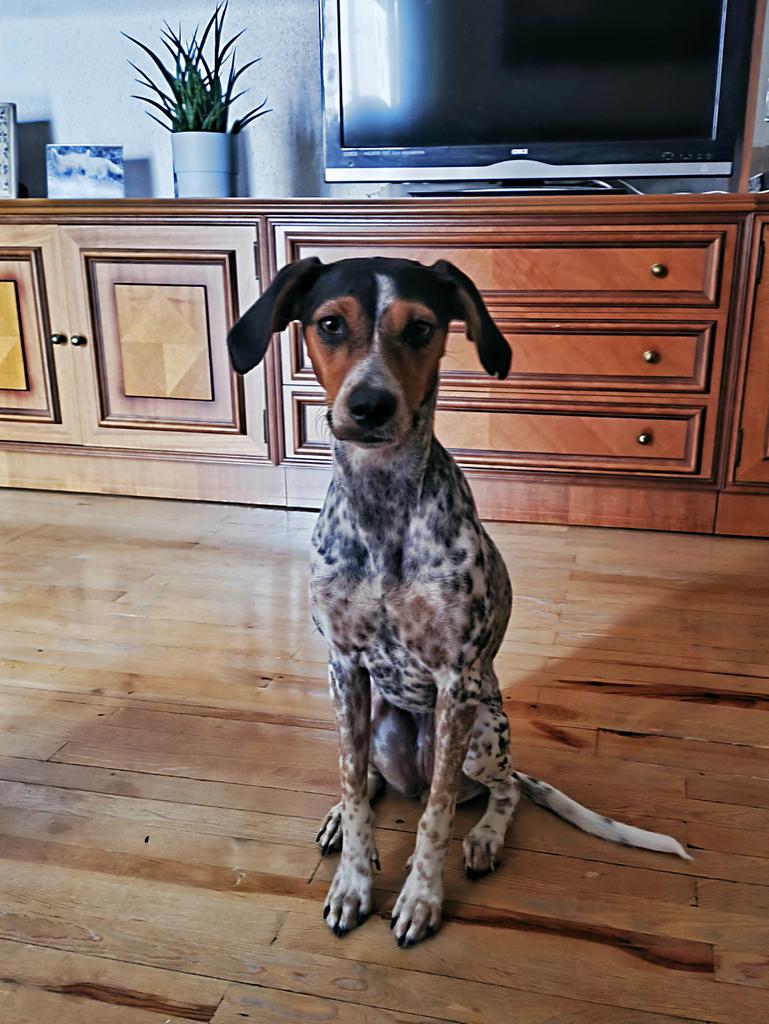 Bazkariaren zain, zintzo
#Xare 💖