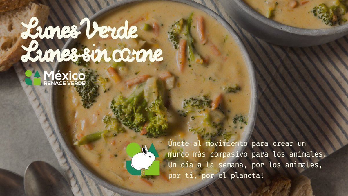 México Renace Verde A.C. tweet media