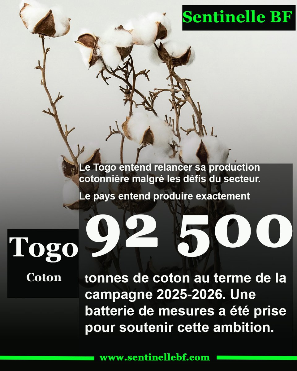 Rendez-vous en fin de saison pour le bilan de cette campagne. ✅✅✅✅

👇🏾👇🏾👇🏾👇🏾👇🏾👇🏾👇🏾👇🏾👇🏾👇🏾
sentinellebf.com/coton-le-togo-…