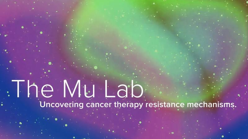 Yale Urology (@yale_urology) on Twitter photo The Mu Lab, led by <a href="/PingMu_PhD/">Ping Mu 🇺🇦</a>, was recently featured in this <a href="/YaleMed/">Yale School of Medicine</a> video.
Learn more about the team's research, including how they are pioneering innovative therapeutic strategies for #prostatecancer and beyond➡️youtube.com/watch?v=ClCwAT…
#ResearchLeader The Mu Lab, led by <a href="/PingMu_PhD/">Ping Mu 🇺🇦</a>, was recently featured in this <a href="/YaleMed/">Yale School of Medicine</a> video.
Learn more about the team's research, including how they are pioneering innovative therapeutic strategies for #prostatecancer and beyond➡️youtube.com/watch?v=ClCwAT…
#ResearchLeader