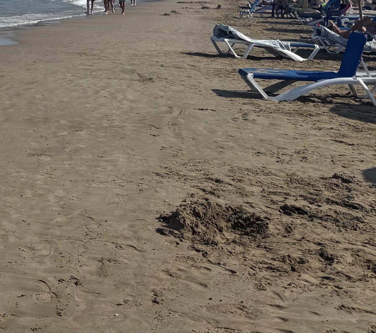 Estaría bien que los responsables municipales explicaran si esto cumple la legalidad. #AyuntamientoAlcaladeXivert ⁦<a href="/alcossebre_tur/">Turismo  Alcossebre</a>⁩