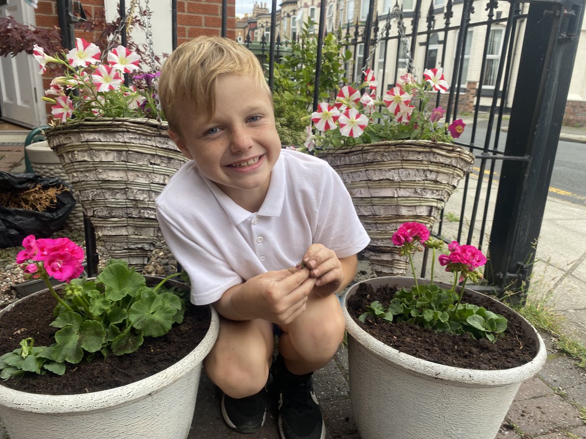 We are lucky to be part of such a wonderful community at Stanton Road. Thank you to one of our families for making our entrance look beautiful!  #citizenship <a href="/OakTreesMAT/">Oak Trees MAT</a>