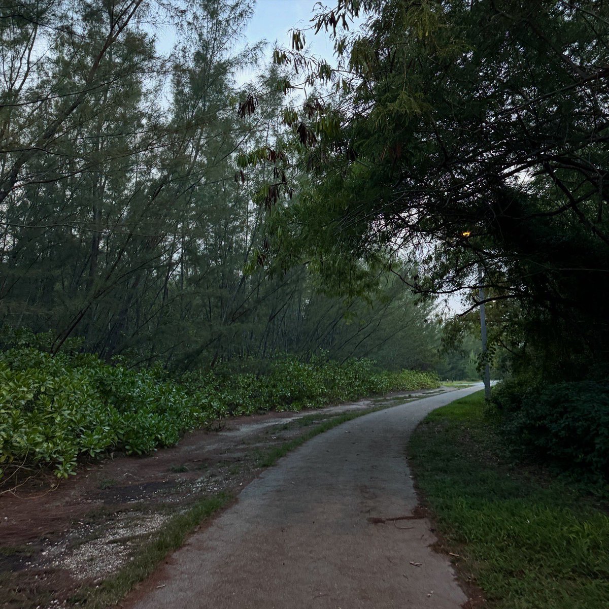 Manny Keith tweet media