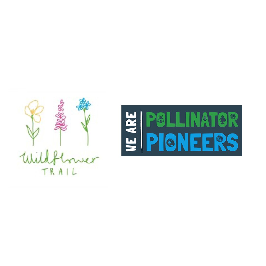 We Are Pollinator Pioneers tweet media