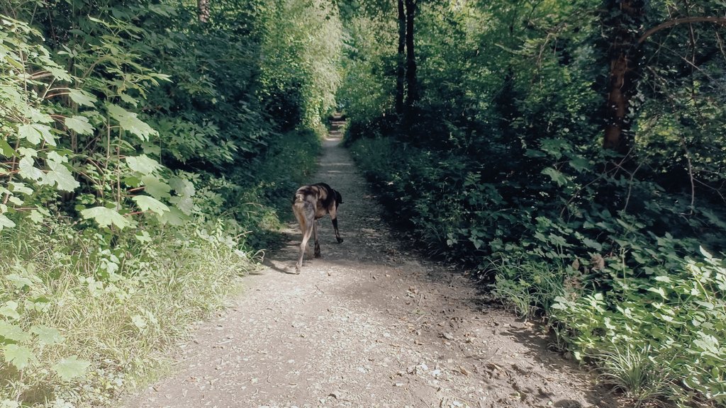 Hiroko Komiya (@komiyahiroko) on Twitter photo 