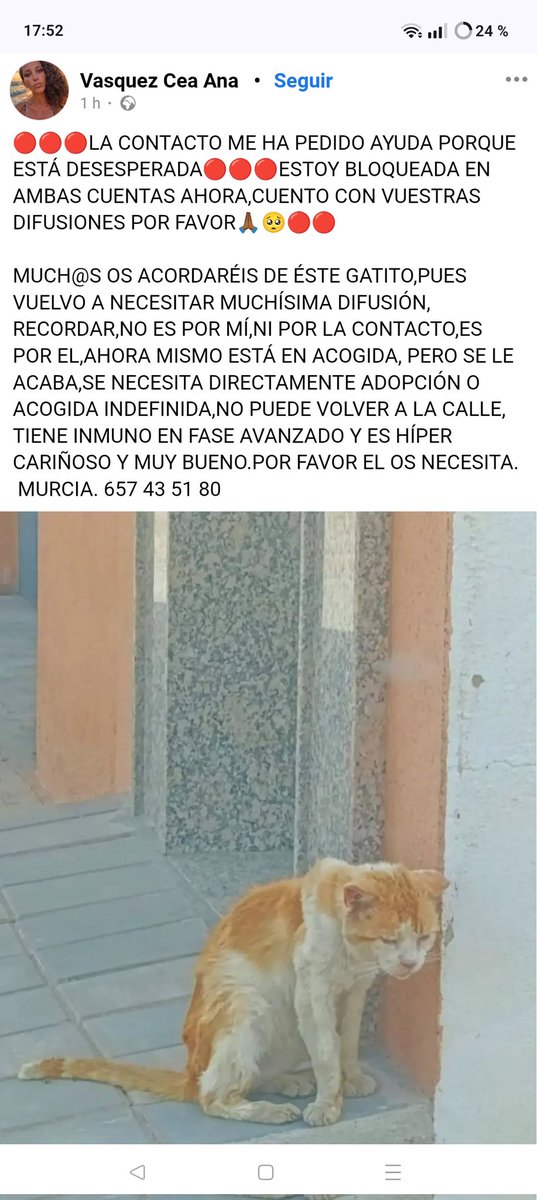 Os acordáis de este gatito????

Está en acogida pero se le acaba! Inmuno en fase avanzada!!!

Necesita adopción!!!

#MURCIA