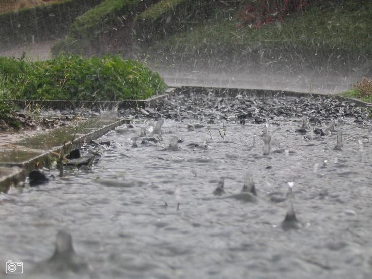 elemmiressoul's tweet photo. rainy day. https://t.co/WJasAIvA2X