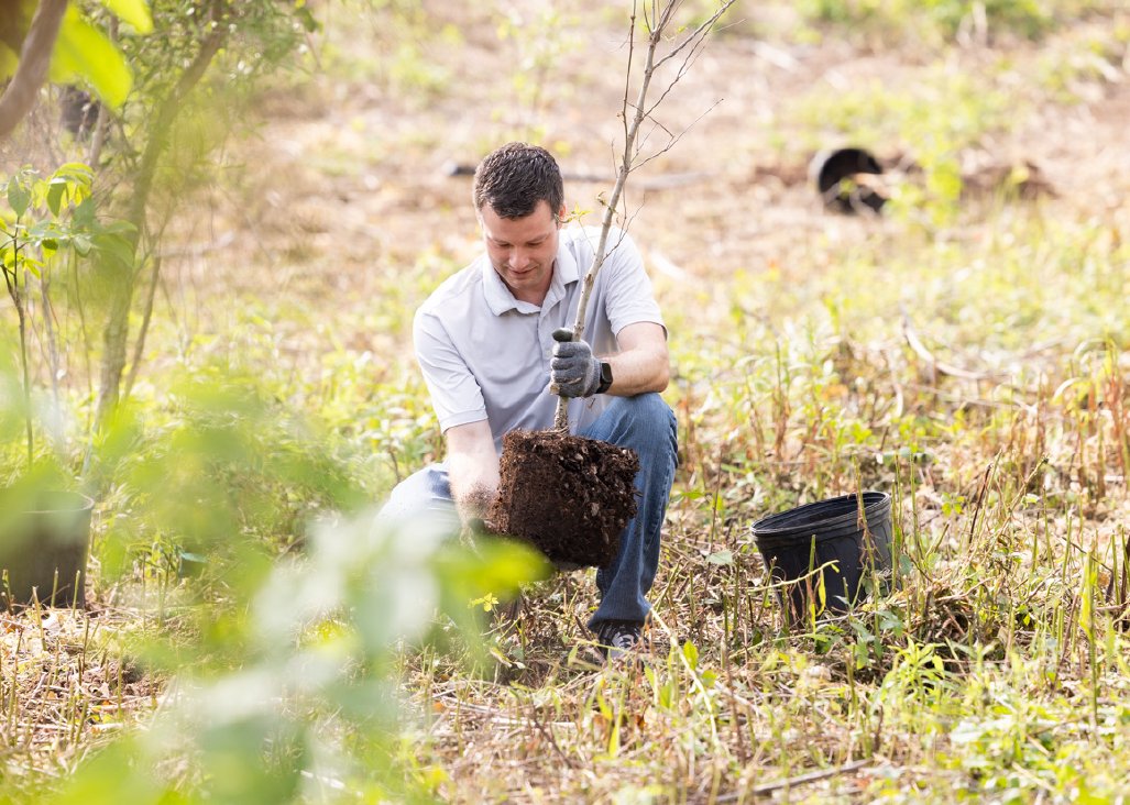In 2024, 50+ orgs planted 134K+ trees across TX, LA and NM through the Apache Corporation Tree Grant Program. 

Since 2023, 35K+ trees were planted across Scotland through the UK program. 

Learn more in the 2025 Sustainability Report: apacorp.com/sustainability #APASR25