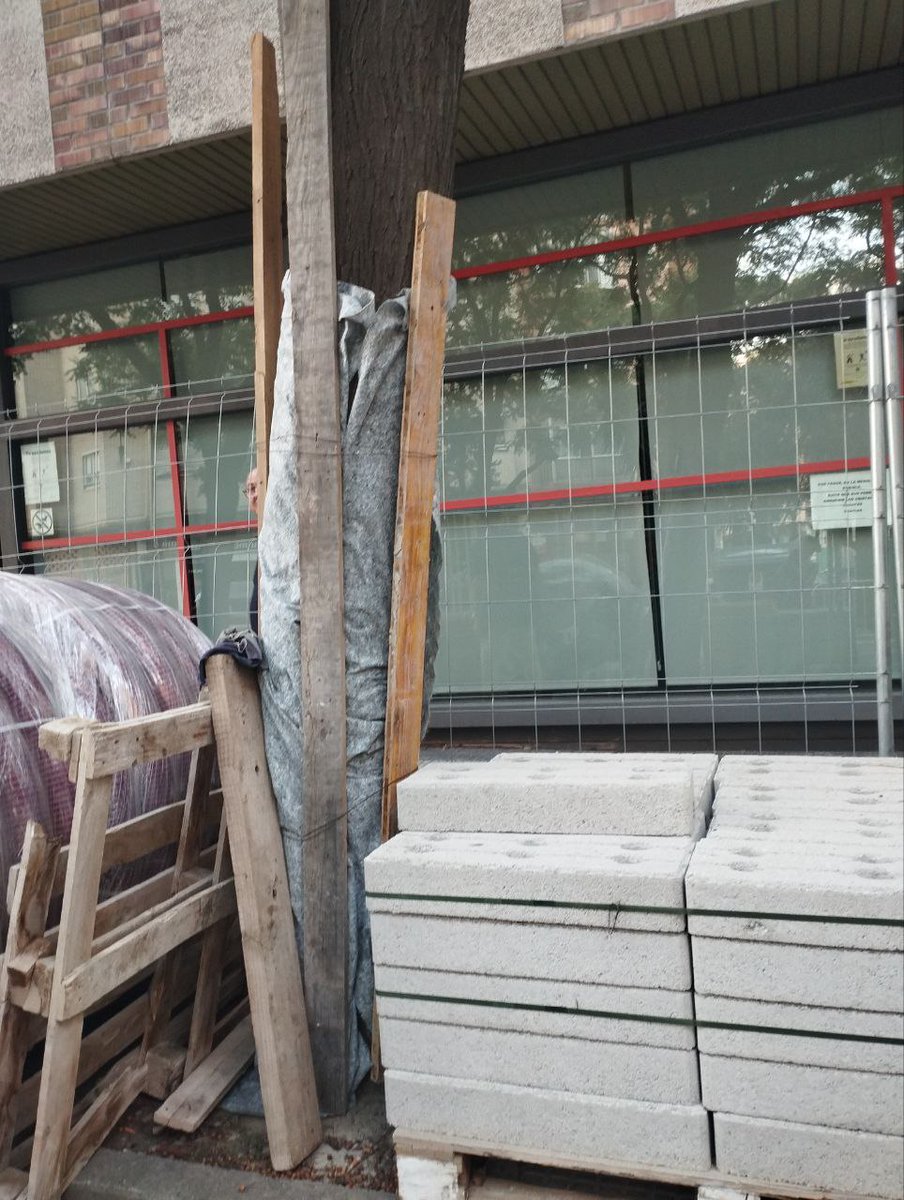 zaragozaencomun's tweet photo. Incumplimiento de la ordenanza de protección del arbolado en  C/Nuestra Señora de Samos

Según la ordenanza no se pueden colocar objetos en el entorno de los alcorques al  generar una compactación de  raíces y falta de oxígeno, el árbol enferma y luego "tendremos que cortarlo" https://t.co/R5vEWXIjp8