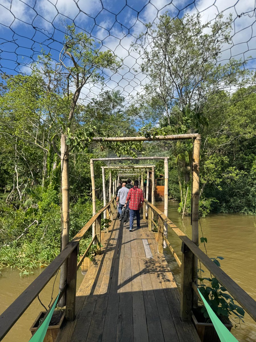 Concordia (@concordiasummit) on Twitter photo Our CEO <a href="/MatthewASwift/">Matthew Swift 🇺🇸</a> is in Belém, Brazil for the 3rd Concordia Amazonas Summit🦎
This immersive, cross-sector gathering focuses on:
🌱Sustainability
🤝Community Partnerships
💡Nature-Based Innovation
Grateful for the support of <a href="/IvanDuque/">Iván Duque 🇨🇴</a> & Governor Helder Barbalho. Our CEO <a href="/MatthewASwift/">Matthew Swift 🇺🇸</a> is in Belém, Brazil for the 3rd Concordia Amazonas Summit🦎
This immersive, cross-sector gathering focuses on:
🌱Sustainability
🤝Community Partnerships
💡Nature-Based Innovation
Grateful for the support of <a href="/IvanDuque/">Iván Duque 🇨🇴</a> & Governor Helder Barbalho.