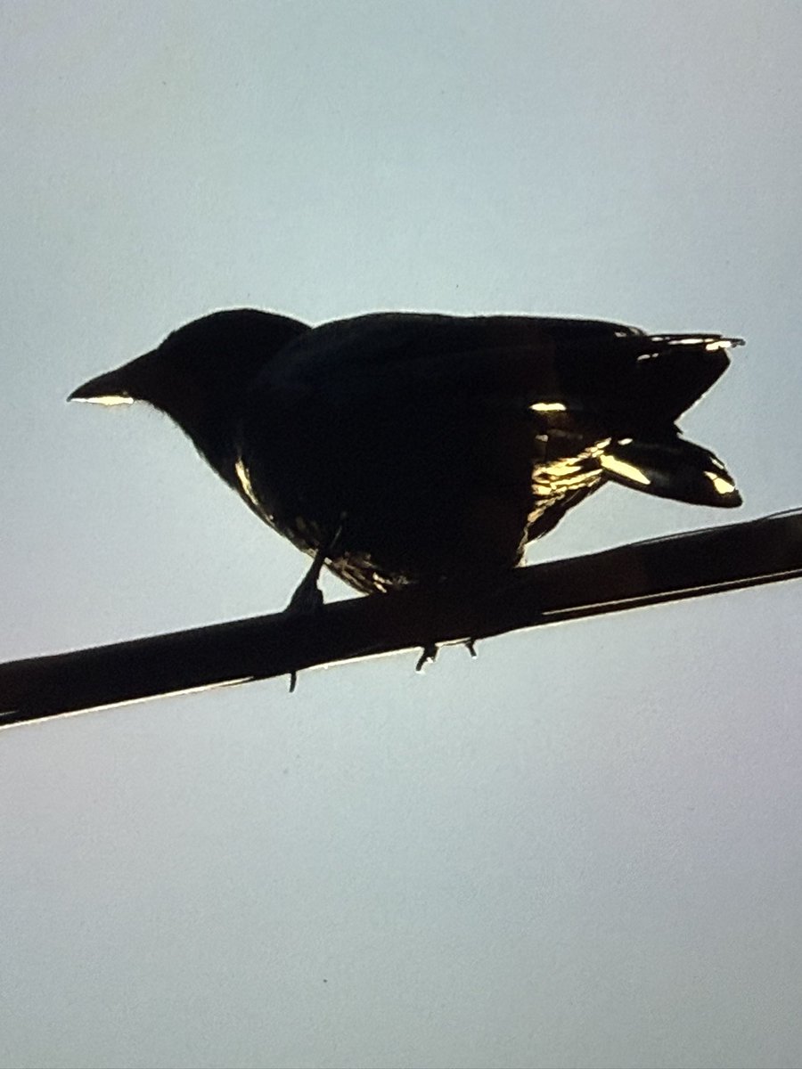 JudithRenaud's tweet image. #EFSDP Stay tuned for Pilgrimage Part Five!