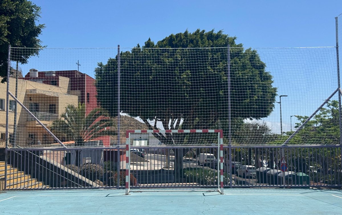 🛠️ Concluimos las obras de mejora en el polideportivo Andenes II.

Este espacio cuenta con un nuevo vallado, más seguridad y mejor entorno para disfrutar del deporte.

Seguimos apostando por espacios seguros y de calidad 🫱🏻‍🫲🏼