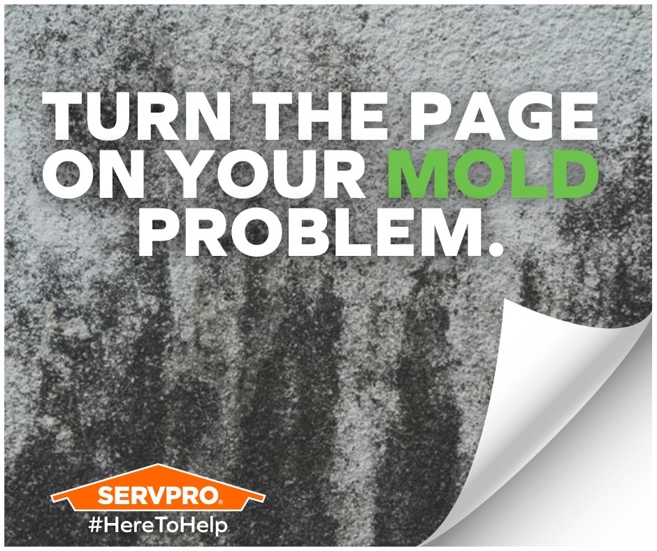 ServproHicksvil's tweet image. Mold growth after water damage? It happens fast.
Acting quickly helps prevent black mold from spreading and damaging your property.
#SERVPRO #MoldControl #WaterDamageResponse #BlackMold #FastAction #HereToHelp
