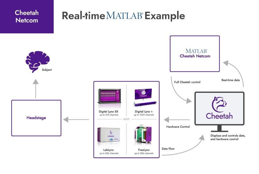 sgbrenner's tweet image. 📣MathWorks welcomes Neuralynx to the Connections program for #Netcom, a #neuroscience API to connect #Cheetah and  #Pegasus to #MATLAB.

spr.ly/60154qY8c