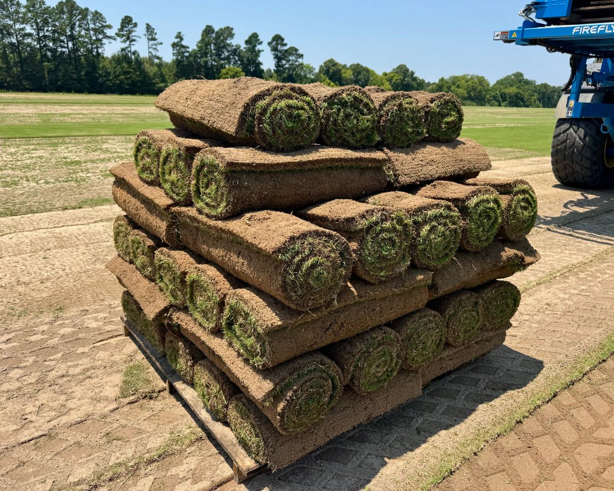 Just harvested at Sodmasters SC last month — these NorthBridge® Bermudagrass rolls are looking top-tier! This variety continues to grow in interest across the Southeast for its performance and durability and it's easy to see why. #NorthBridgeBermuda