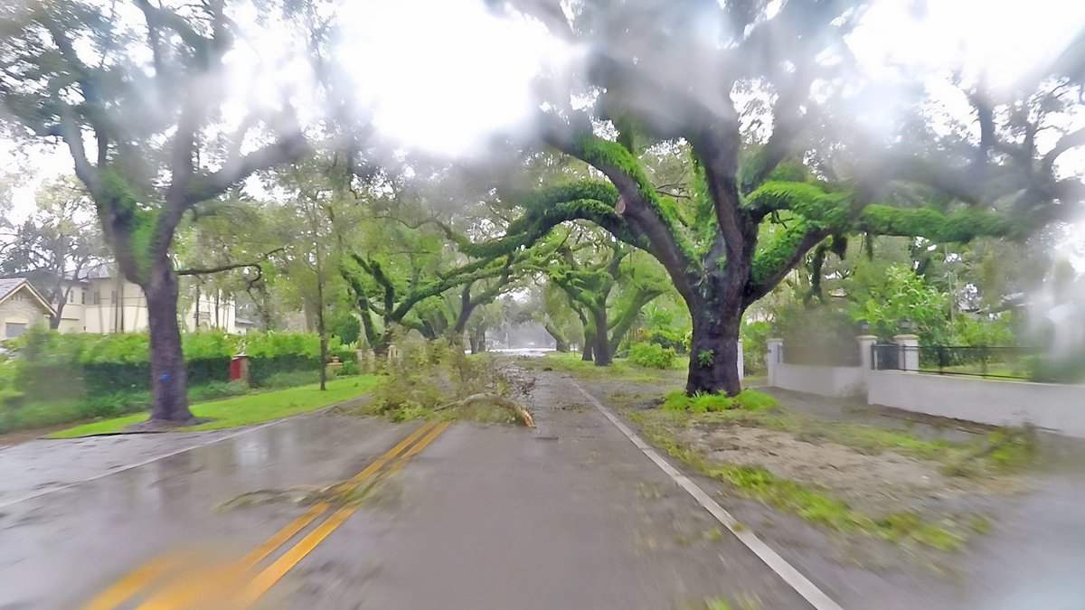 Be ready for hurricane season! Join the City of Coral Gables Fire Department, Emergency Management, and the Adult Activity Center for this informational session on Thursday, July 15 at 3 p.m. on how to best prepare. Complimentary parking is available at The Palace.