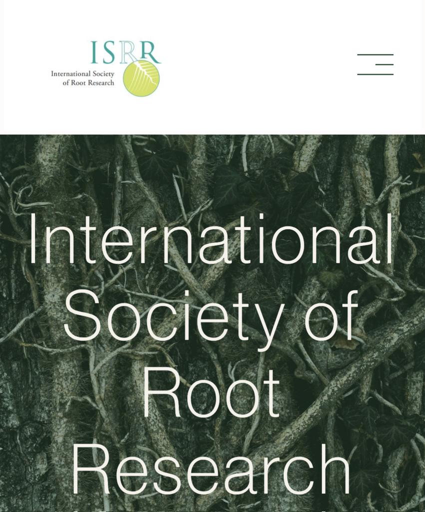 RootScientists's tweet image. 🤓 Have you seen the latest edition of the ISRR newsletter? If not check it out for the latest updates and info on #roots and the #rhizosphere
rootresearch.org/newsletter