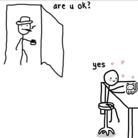 Punch Cat (@punchingcat) on Twitter photo 