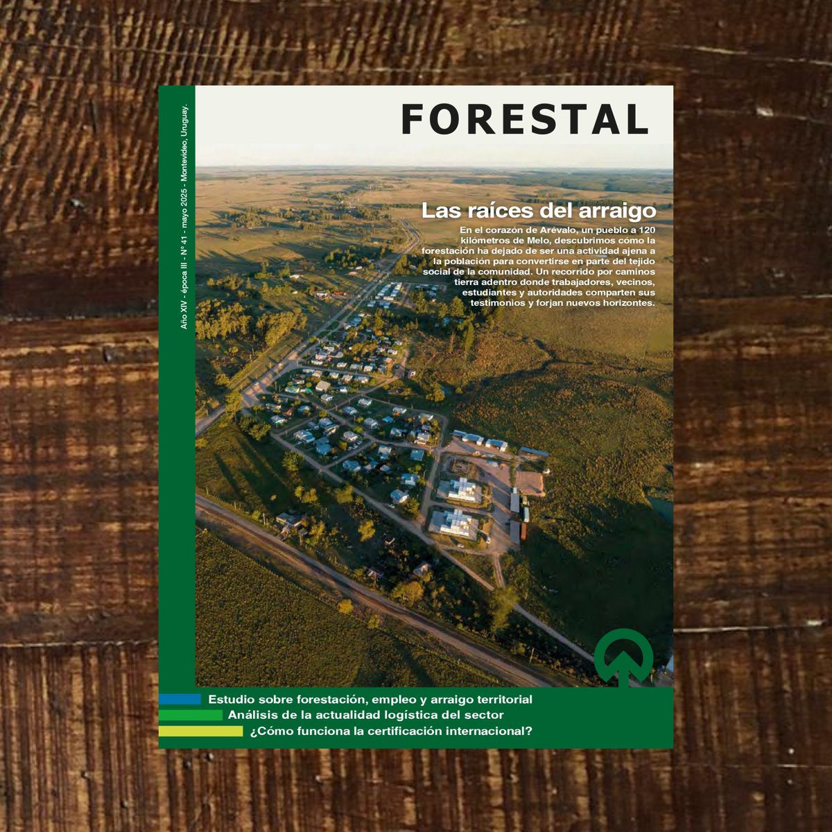 ¿Ya viste nuestra nueva edición?

En Forestal 41 encontrarás:
- La evolución de Pueblo Arévalo
- Estudio sobre el impacto de la cadena forestal-maderera en el empleo y arraigo territorial
- ¿Cómo funcionan las certificaciones internacionales?
Y mucho más⬇️
revistaforestal.uy