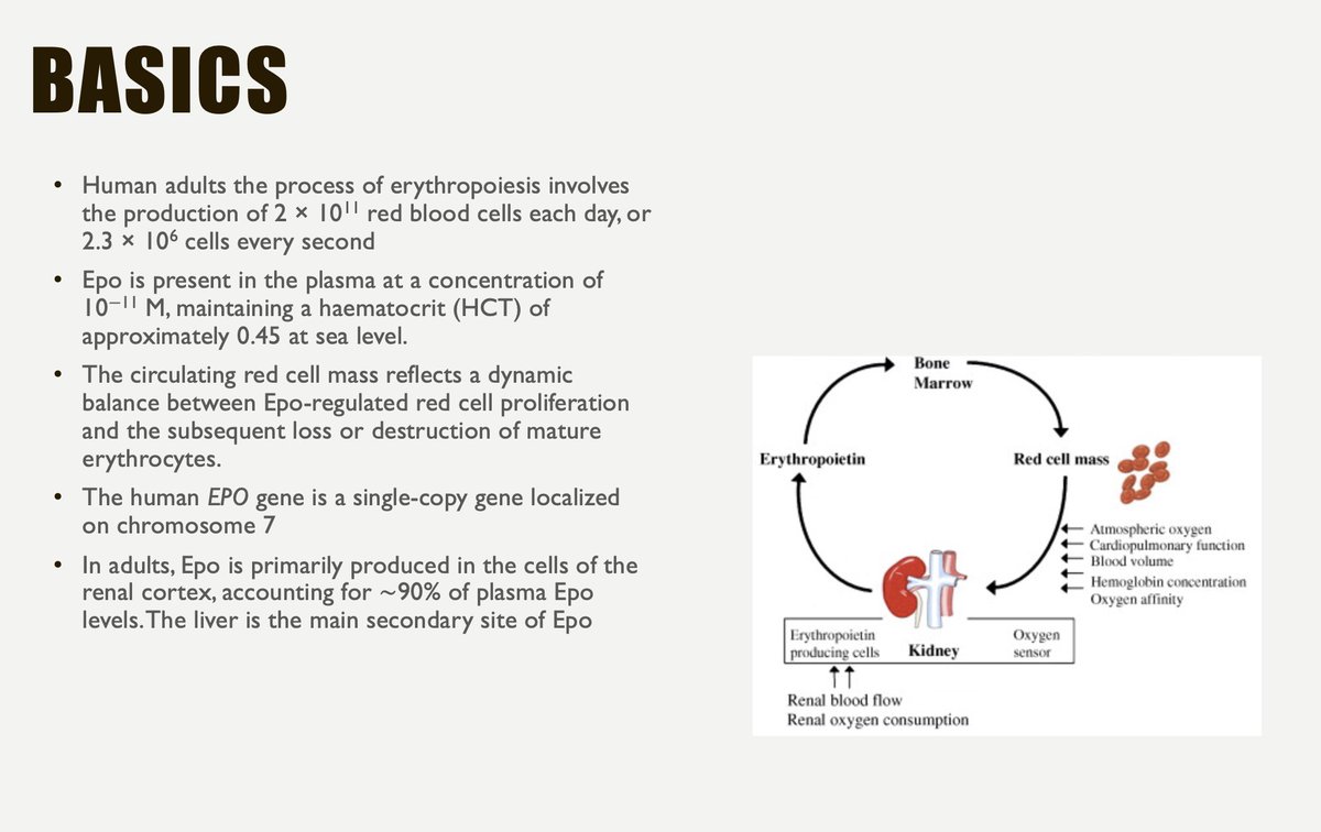 🔽🔽Slide from a GP presentation 
🩸Showing the Intricate Nature of Erythrocytosis and Epo 
Maybe of help to make sense of this common clinic Presentation 
#medicine #medtwitter #hematology #blooducation