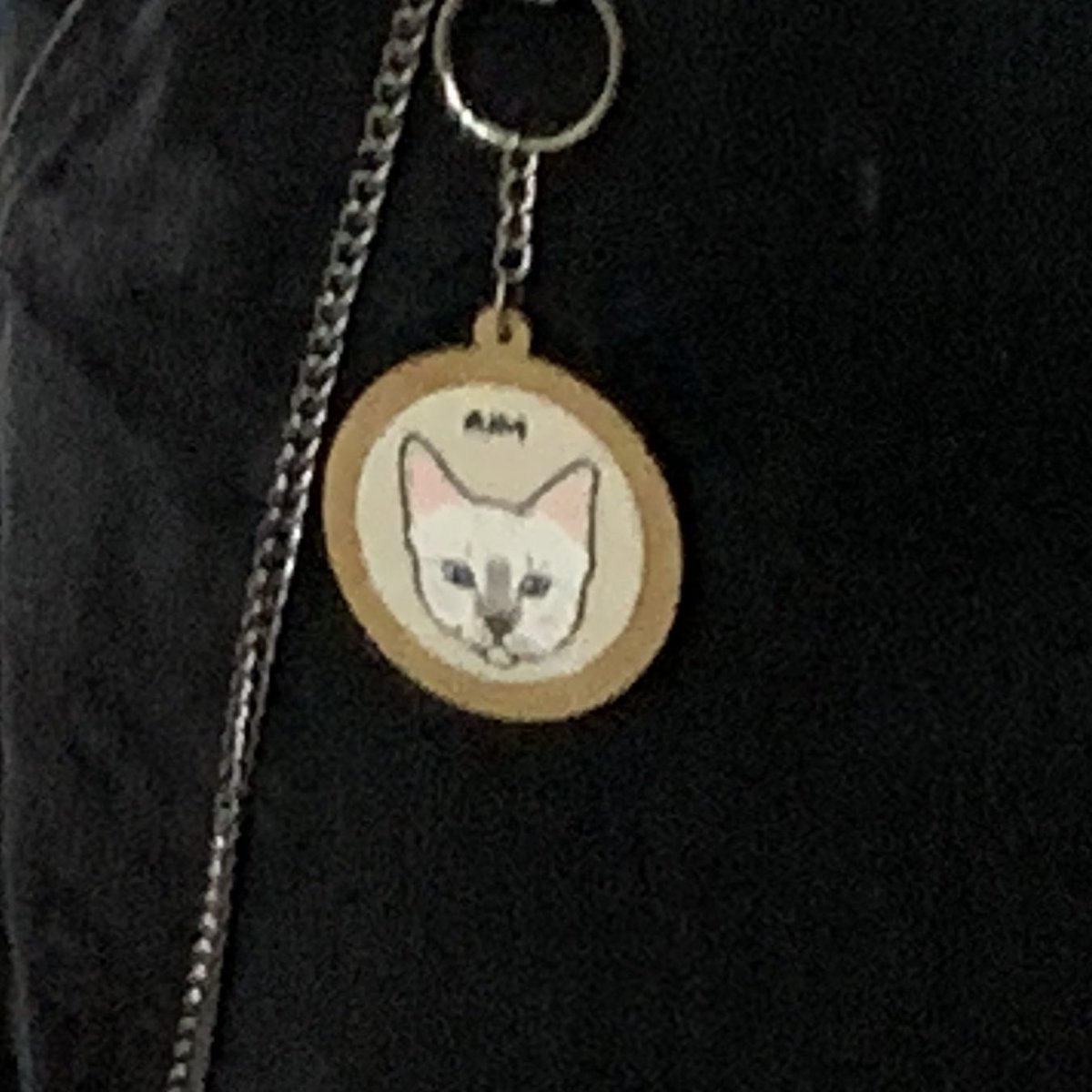 lottiezando's tweet photo. simplesmente o melhor presente do mundo 😸 https://t.co/iyGhww1c2q