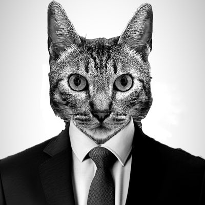 wesalcc's tweet photo. #NovaFotoDePerfil https://t.co/mNVvgq59Y9