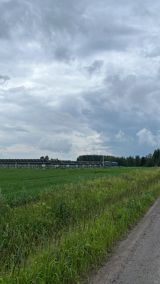 terhilofa's tweet photo. Aurinkoa kaivataan. Terveisin Vilja, Paneelit ja minä. https://t.co/LJ7tc0TJBu