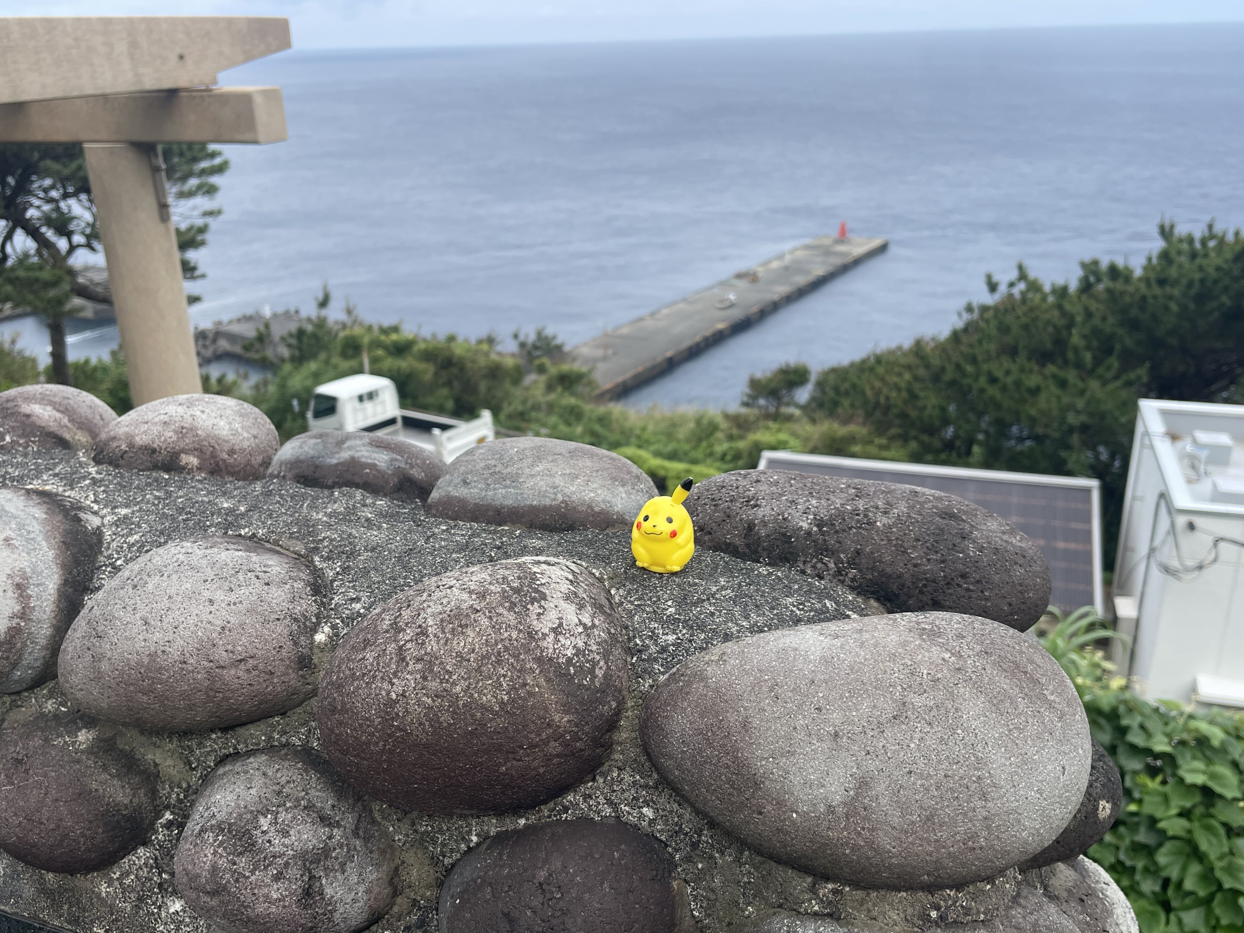ピカチュウの偽物 ピカチュウの偽物