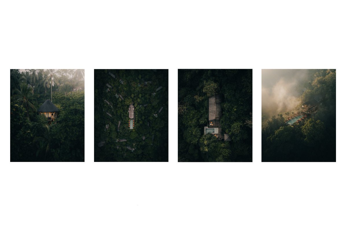 colourwrks's tweet image. R A I N F O R E S T S E R I E S
A collection of 4 Limited Edition Artworks listed on Shape L2 with Transient Labs
Details ↴