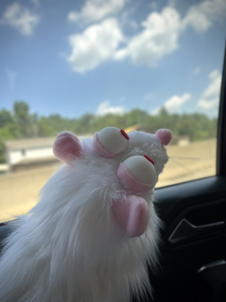 tail_ends's tweet image. Headed home today from AC!!!

We will have tomorrow OFF, unpack Wednesday, and be back in full force on Thursday

rat snoofs by @VeraVulture