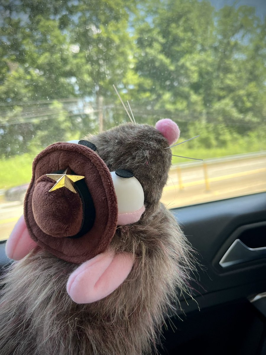 tail_ends's tweet image. Headed home today from AC!!!

We will have tomorrow OFF, unpack Wednesday, and be back in full force on Thursday

rat snoofs by @VeraVulture