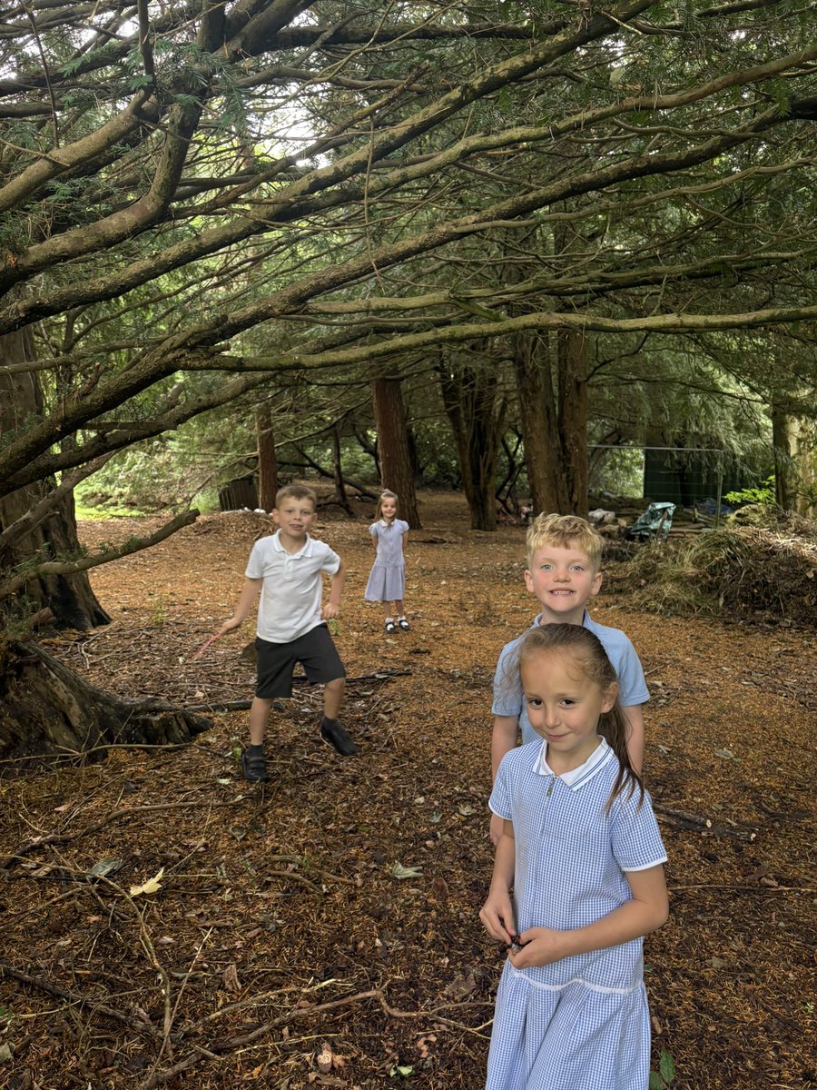 Penketh Primary Academy tweet media